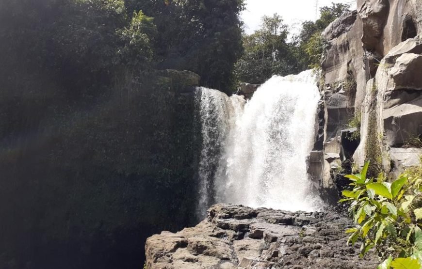 Bali In Touch: 6D5N Cultural & Adventure Escape