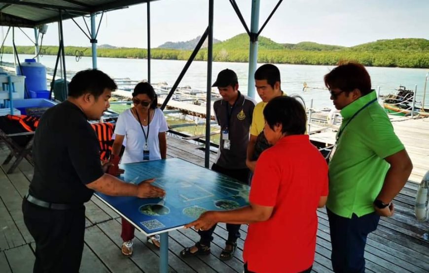 Phuket Pearl Farm Learning Tour