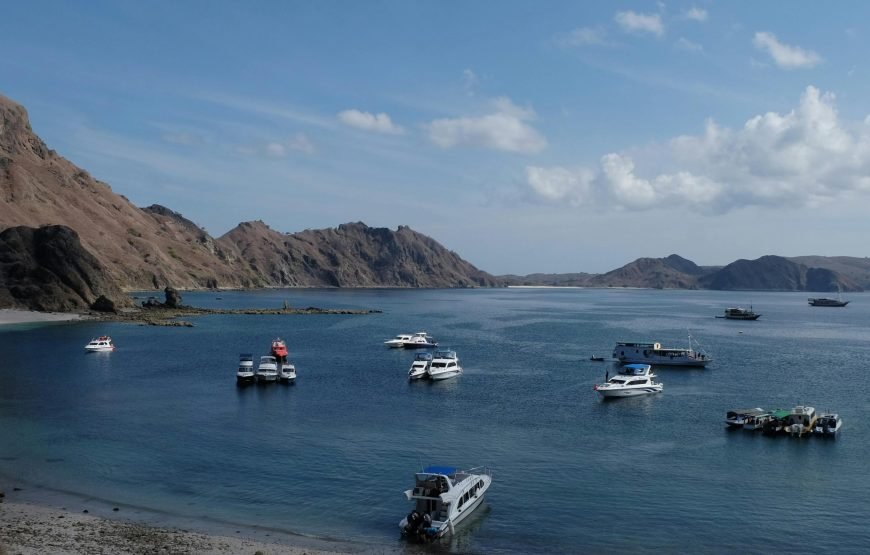 Labuan Bajo in a Day: 6 Must-See Wonders