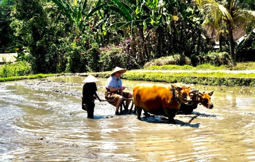 Bali: 4-Day Tour With ATV Ride And Uluwatu Temple