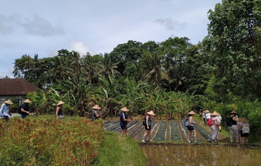 Bali: 4-Day Tour With ATV Ride And Uluwatu Temple