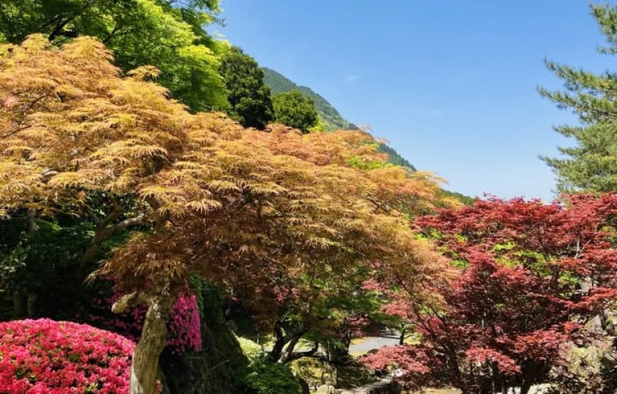 Mount Hiko Sacred Mountain Pilgrimage Hike and Yamabushi History