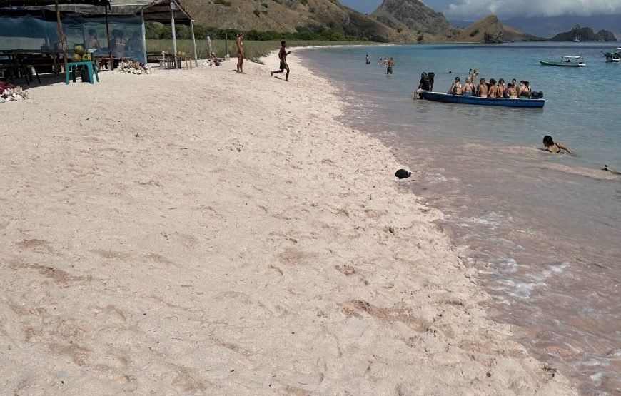 3 Days Komodo Island/Labuan Bajo from Bali