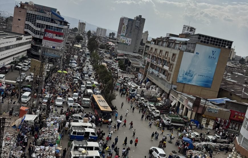 Addis Ababa Half-Day City Tour