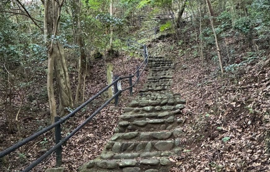 Japan Heritage Yabakei Trek: Kyoshuho, Fururakan & Rakanji Temple Tour