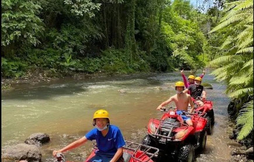 7 Days 6 Nights Bali Island Tour: Adventure & Cultural Exploration