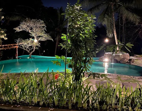 Day 1: The Arrival of the Seeker