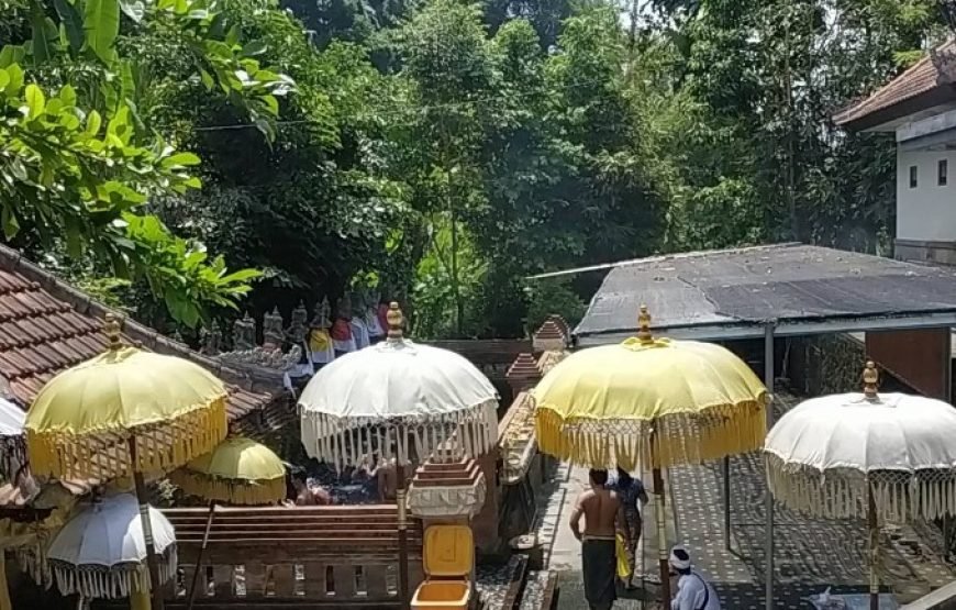 Balinese Spiritual Quest: Meditation Challenge Package