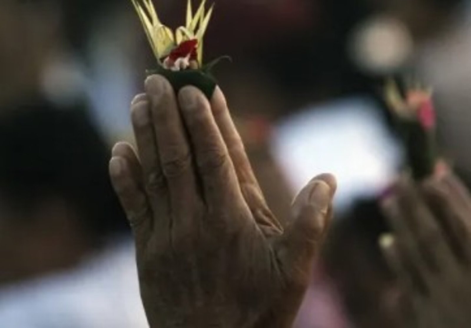 Day 3: The Healer’s Path – Meditation & Tradition