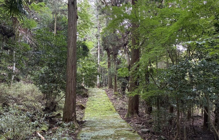 Japan Heritage Yabakei Trek: Kyoshuho, Fururakan & Rakanji Temple Tour