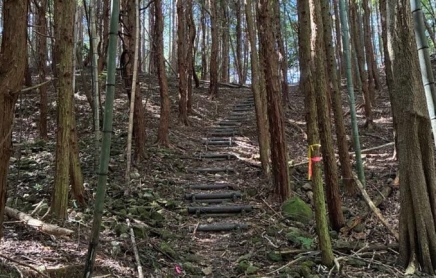 Japan Heritage Yabakei Trek: Kyoshuho, Fururakan & Rakanji Temple Tour