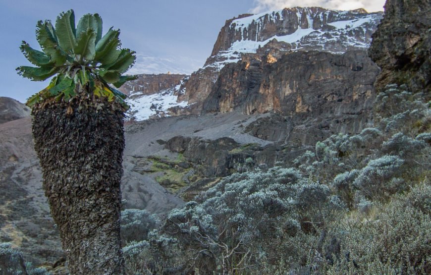 Mount Kilimanjaro Climbing Machame Route 7 Days Hiking