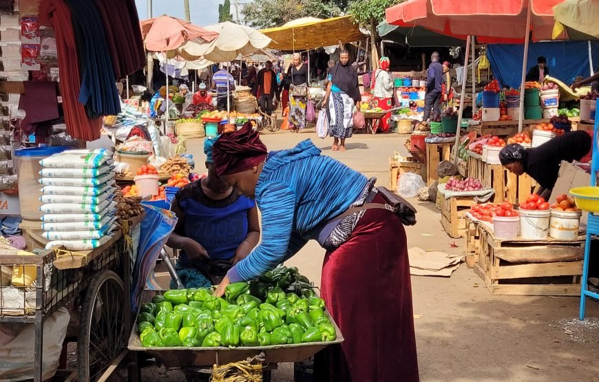 Day Tour Around Moshi Town in Tanzania