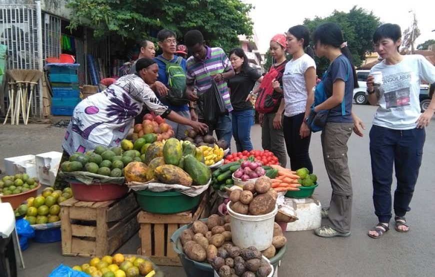 Day Tour Around Moshi Town in Tanzania