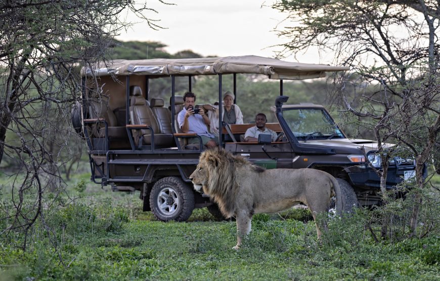 6 Day The Great Serengeti Migration Safari in Tanzania