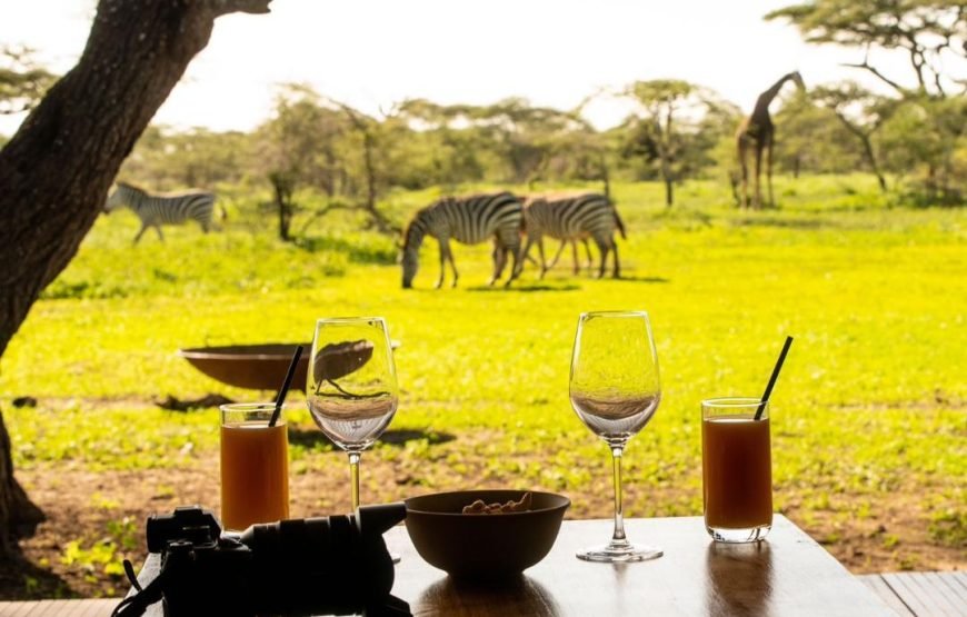 6 Day The Great Serengeti Migration Safari in Tanzania
