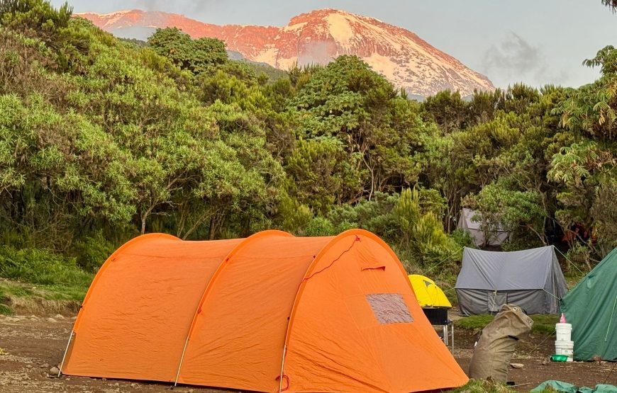 Mount Kilimanjaro Climbing Machame Route 7 Days Hiking