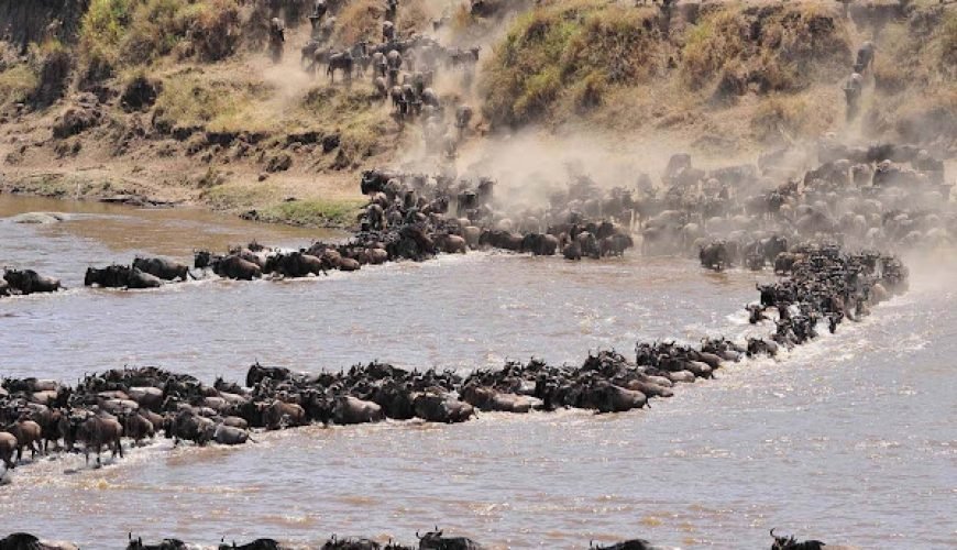 6 Day The Great Serengeti Migration Safari in Tanzania