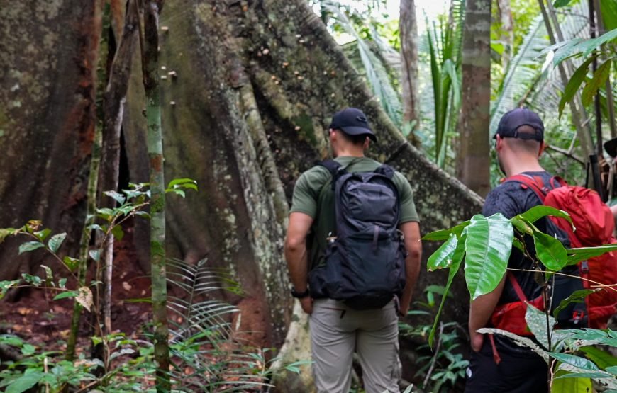 Amazon Rainforest 3‑Day/2‑Night Adventure – Tapiri Floating Lodge Stay