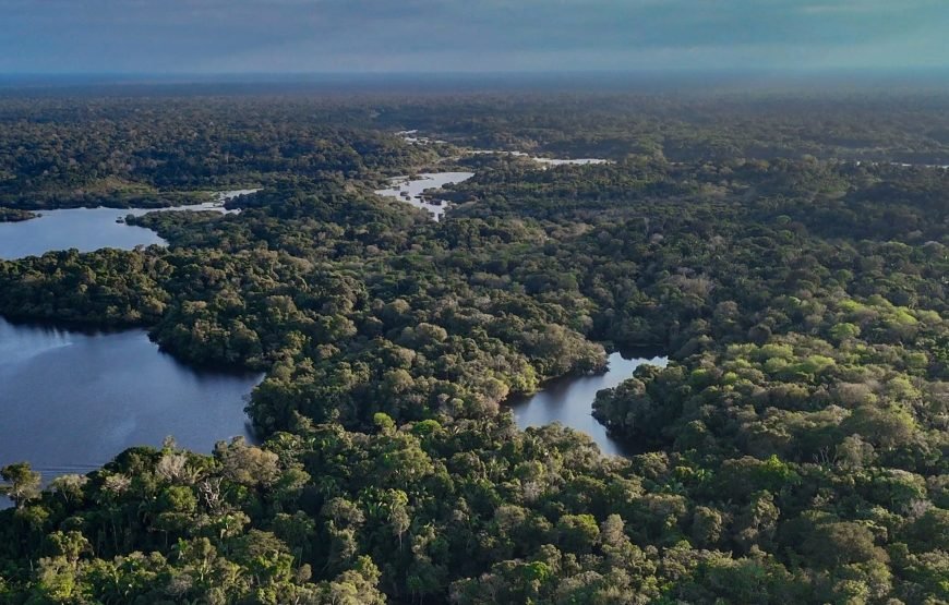 Amazon Rainforest 3‑Day/2‑Night Adventure – Tapiri Floating Lodge Stay