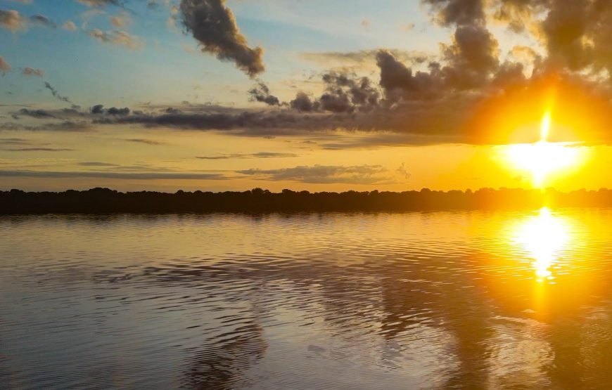 Amazon Rainforest 3‑Day/2‑Night Adventure – Tapiri Floating Lodge Stay