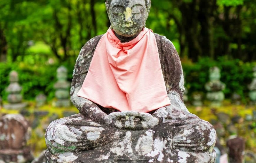 Kyoto Full‑Day Private Tour with Local Guide & Hotel Pickup