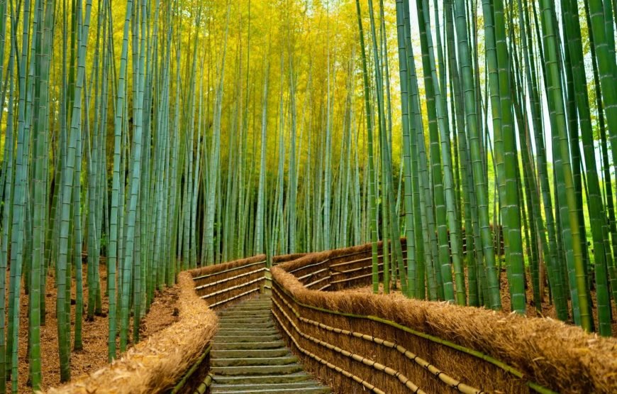 Kyoto Full‑Day Private Tour with Local Guide & Hotel Pickup