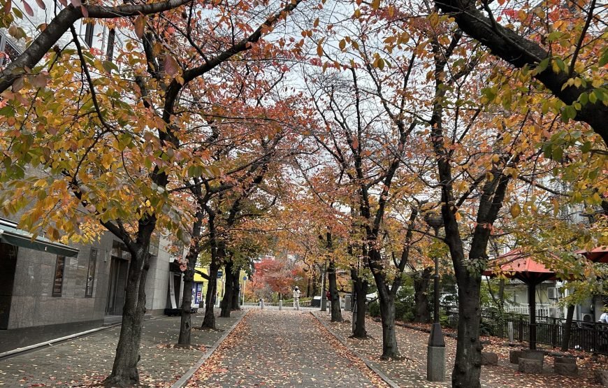 Kyoto Full‑Day Private Tour with Local Guide & Hotel Pickup