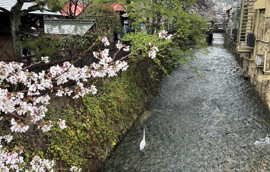 Kyoto Full‑Day Private Tour with Local Guide & Hotel Pickup
