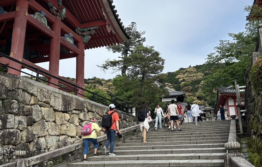 Kyoto Full‑Day Private Tour with Local Guide & Hotel Pickup