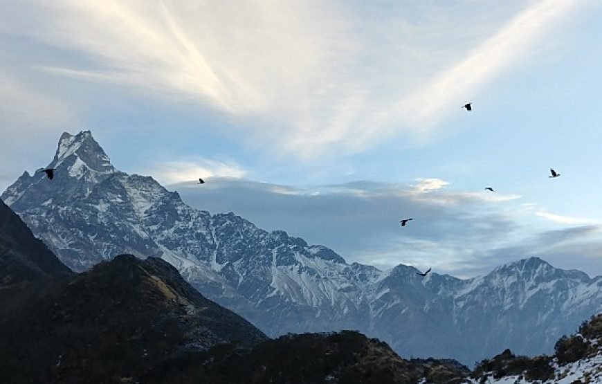 Mardi Base Camp