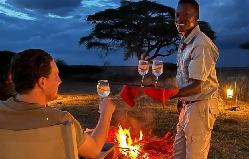 8‑Day High‑End Fly Package Tanzania Safari