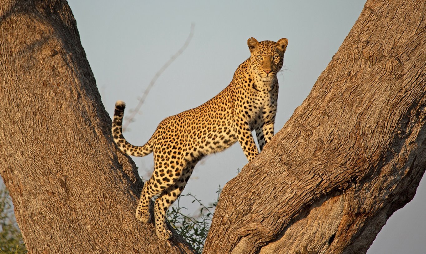 Day 6: Serengeti National Park