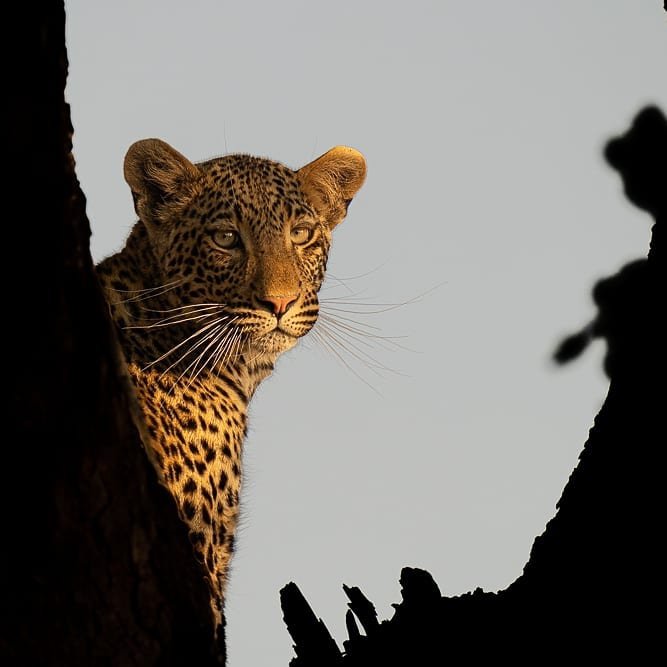 Day 7: Serengeti National Park