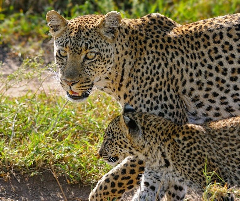 Day 2: Tarangire National Park