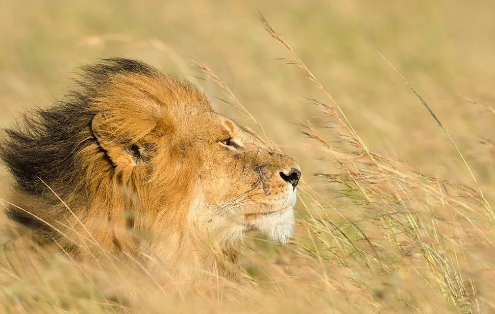 Day 2 &3: Tarangire National Park
