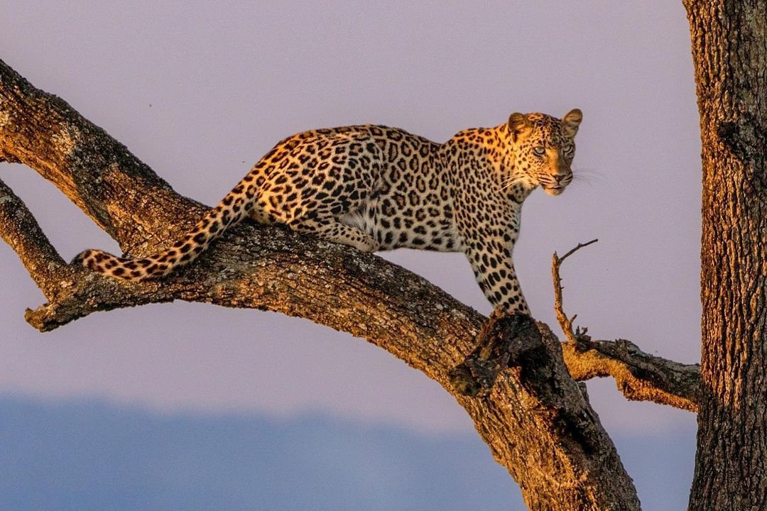 Day 6: Serengeti National Park