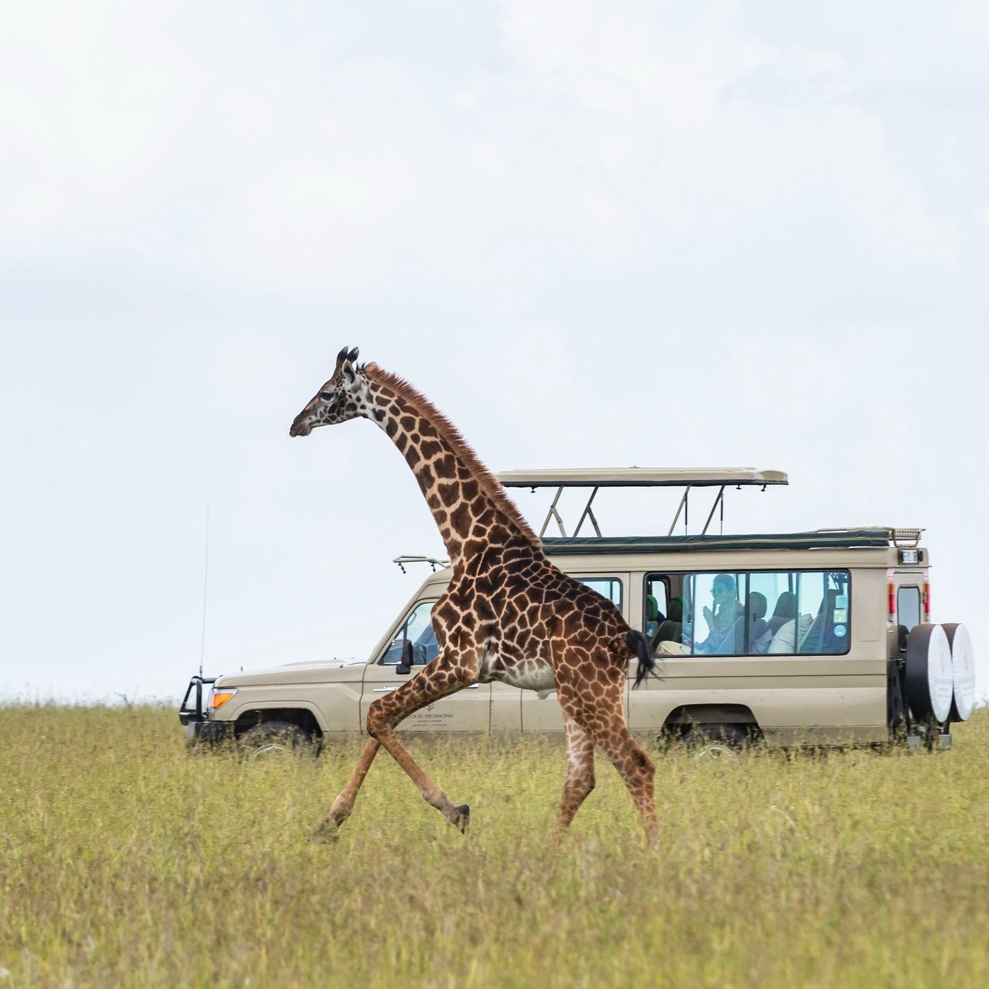 Day 1: Arrive in Tanzania