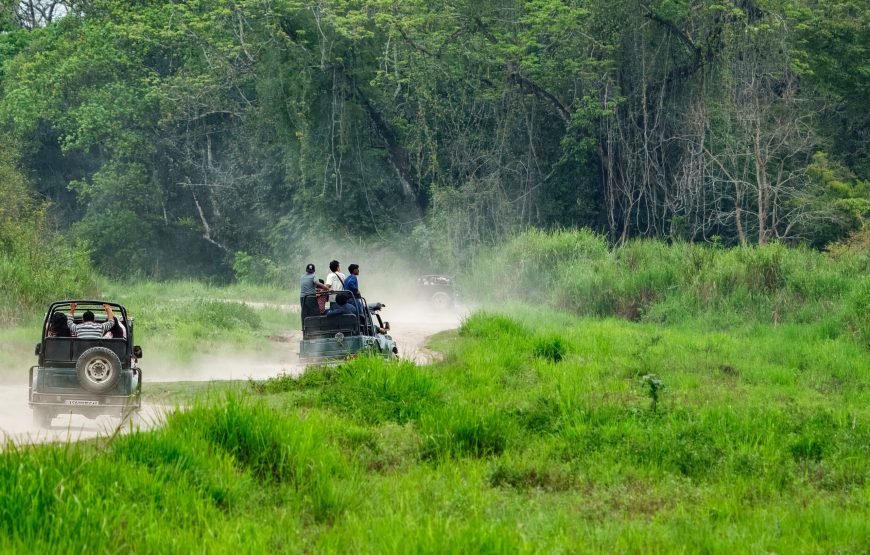 Chitwan: Full-Day Safari Canoeing and Jungle Walk and Jeep