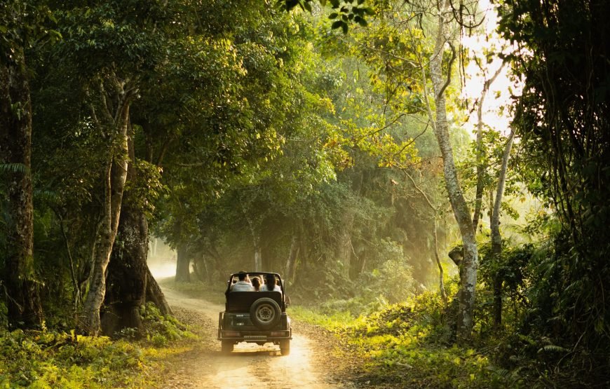 Chitwan: Full-Day Safari Canoeing and Jungle Walk and Jeep