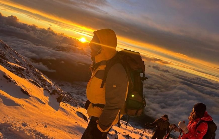 Kilimanjaro Trek Marangu Route 6 Days Safari