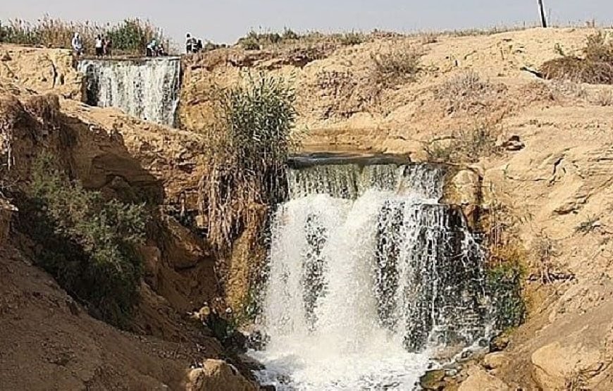 Wadi El Hitan & Wadi El Rayan Day Tour Itinerary
