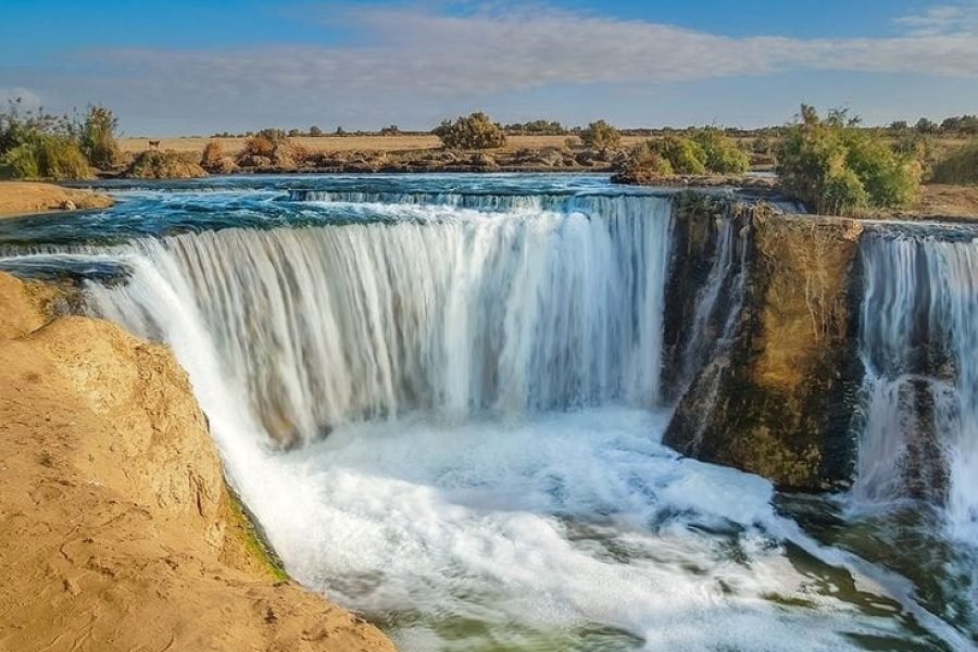 Wadi El Hitan & Wadi El Rayan Day Tour Itinerary