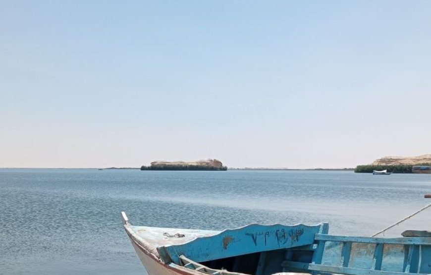 Wadi El Hitan & Wadi El Rayan Day Tour Itinerary