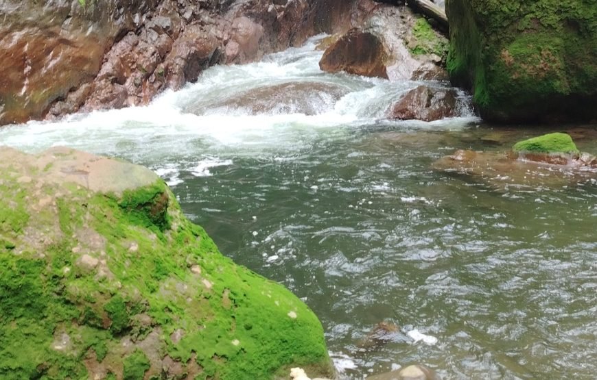 Jurassic Canyon Waterfall Tour