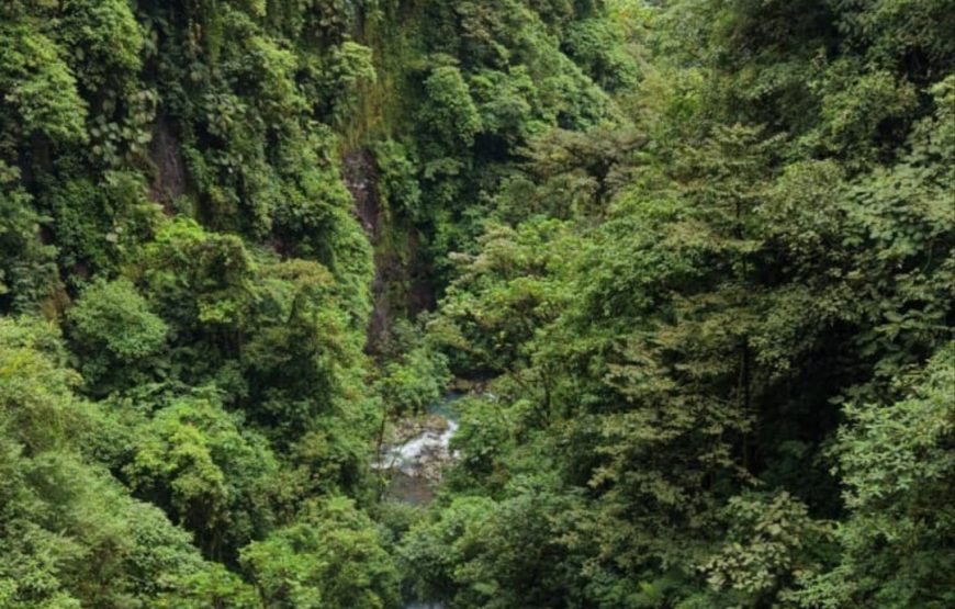 Jurassic Canyon Waterfall Tour